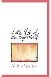 Little Idyls of the Big World