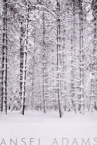 Pine Forest in Snow, Yosemite National Park, California, 1932