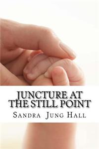 Juncture at the Still Point: A Mother's Journey in Grief, Growth and Hope