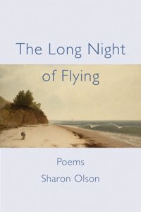 Long Night of Flying