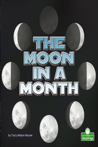 Moon in a Month