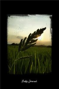 Paddy Journal: Dot Grid Journal - Paddy Field Sunset Golden-Hour Light Grass Farm - black Dotted Diary, Planner, Gratitude, Writing, Travel, Goal, Bullet Notebook 