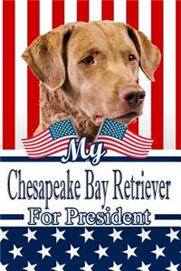 My Chesapeake Bay Retriever for President
