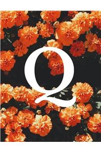 Q