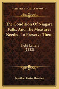 Condition Of Niagara Falls, And The Measures Needed To Preserve Them