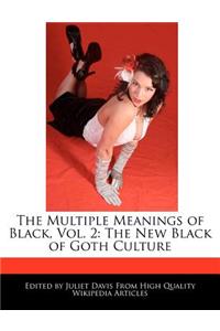 The Multiple Meanings of Black, Vol. 2
