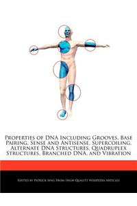 Properties of DNA Including Grooves, Base Pairing, Sense and Antisense, Supercoiling, Alternate DNA Structures, Quadruplex Structures, Branched Dna, and Vibration
