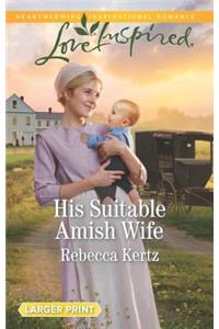 His Suitable Amish Wife