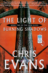 The Light of Burning Shadows