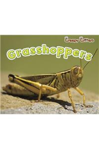 Grasshoppers