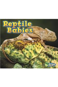 Reptile Babies