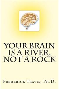 Your Brain is a River, Not a Rock