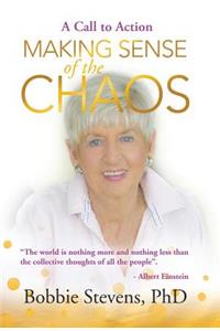 Making Sense of the Chaos