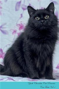 York Chocolate Cat Presents