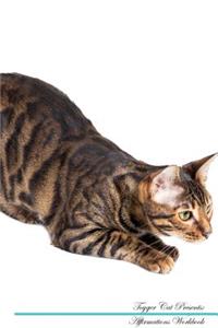 Toyger Cat Affirmations Workbook Toyger Cat Presents