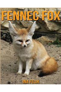 Fennec fox