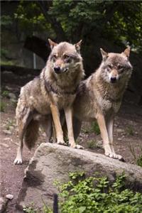 Two Wolves Animal Journal