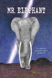 Mr. Elephant
