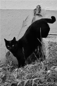 Black Cat Journal