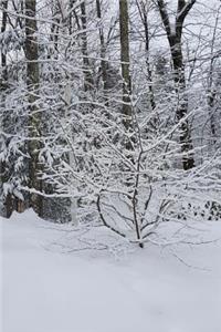 Scenic Winter Weather Journal