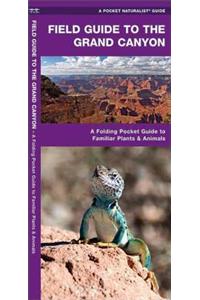 Grand Canyon, Field Guide to the: A Folding Pocket Guide to Familiar Plants and Animals