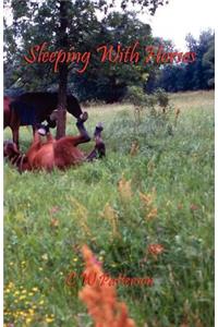 Sleeping with Horses