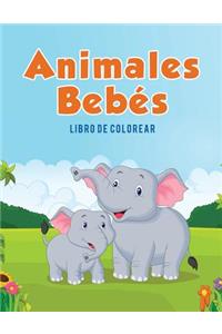 Animales Bebés