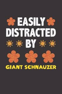 Easily Distracted By Giant Schnauzer
