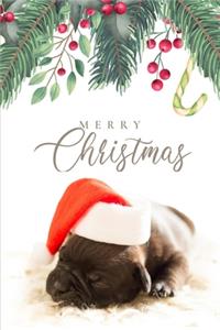 Merry Christmas Card Address book