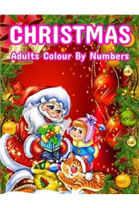 Christmas Adults Colour By Numbers