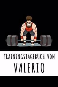 Trainingstagebuch von Valerio