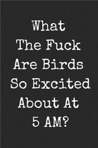 What The Fuck Are Birds So Excited About At 5 Am?
