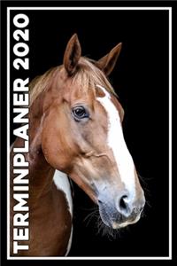 Terminplaner 2020