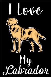 I Love My Labrador