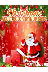 Christmas Adult Color By Numbers