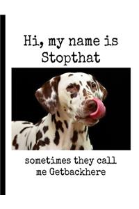 Hi, My Name Is Stopthat Sometimes They Call Me Getbackhere