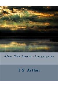 After The Storm: Large print