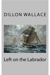 Left on the Labrador