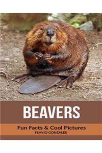 Beavers: Fun Facts & Cool Pictures