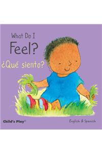 What Do I Feel? / ¿Qué siento?