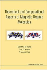 Theoretical and Computational Aspects of Magnetic Organic Molecules