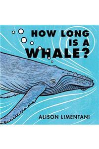How Long Is a Whale?