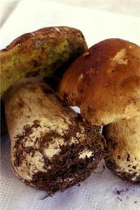 Boletus Edulis Porcini Mushrooms Journal