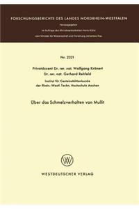 Über das Schmelzverhalten von Mullit