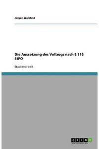 Die Aussetzung des Vollzugs nach § 116 StPO