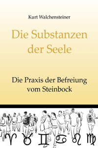 Die Substanzen der Seele