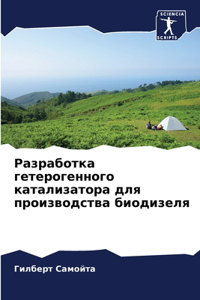 Разработка гетерогенного катализатора д&