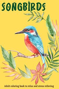 Songbirds coloring book for relax and stress relieving