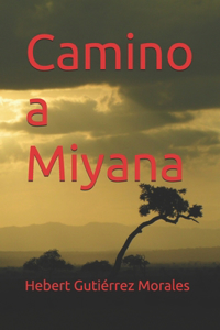 Camino a Miyana