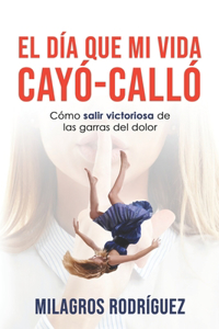 Día Que Mi Vida Cayó - Calló